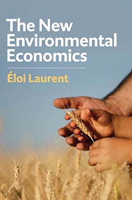 New Environmental Economics