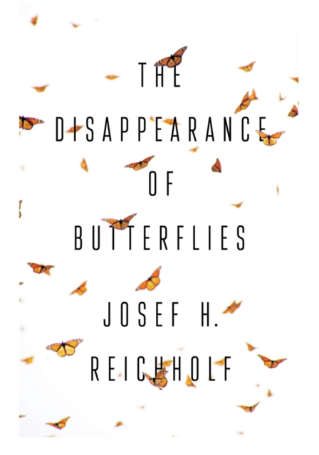 Disappearance of Butterflies