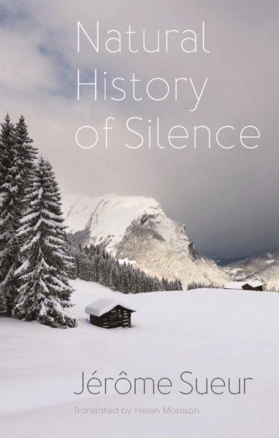 Natural History of Silence