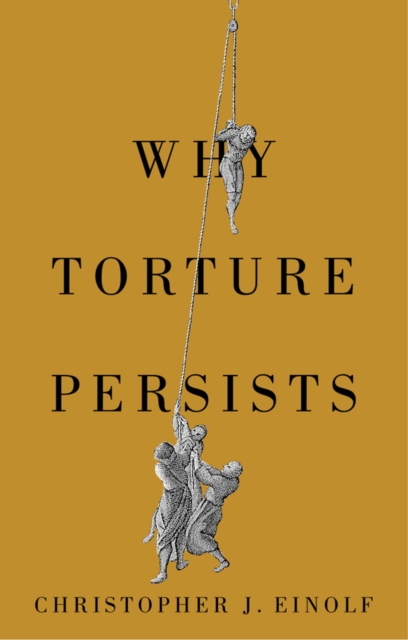 Why Torture Persists