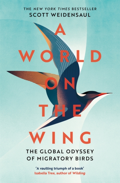 World on the Wing