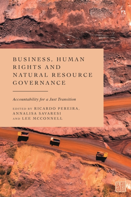 Business, Human Rights and Natural Resource Governance