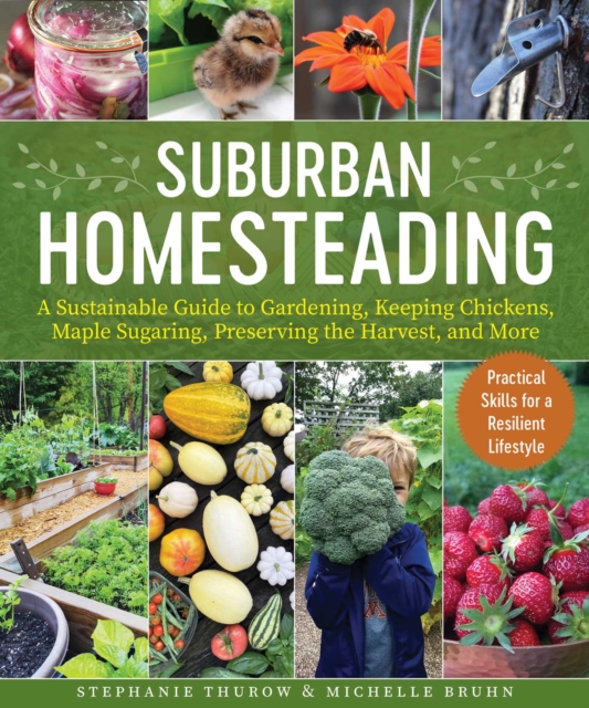 Small-Scale Homesteading