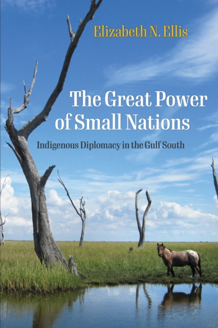 Great Power of Small Nations