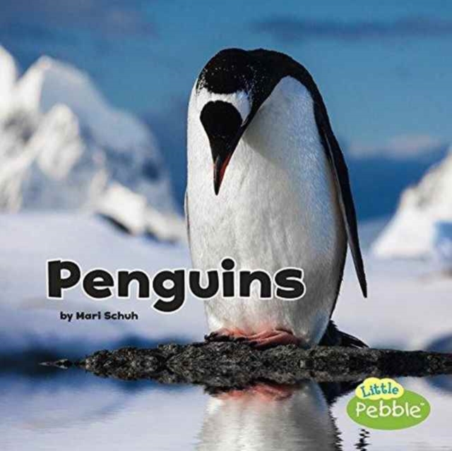 Penguins (Black and White Animals)