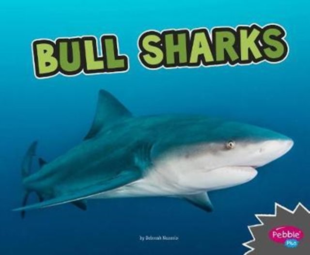 Bull Sharks (All About Sharks)