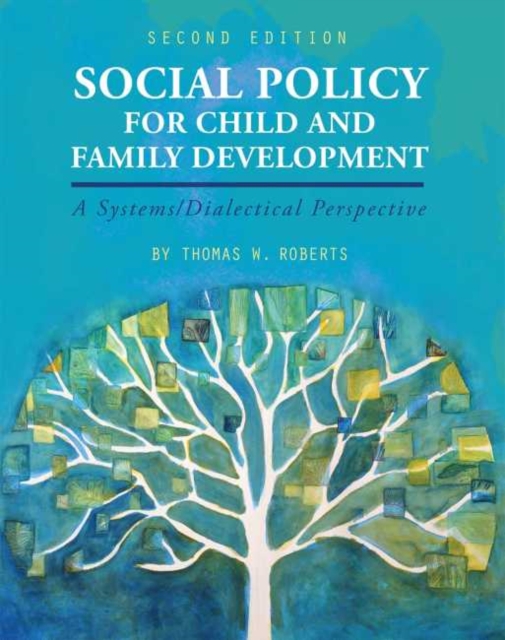 Social Policy for Child and Family Development