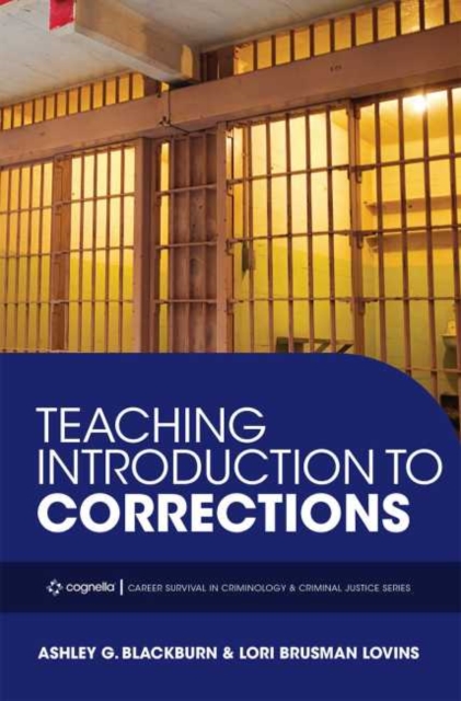 Teaching Introduction to Corrections
