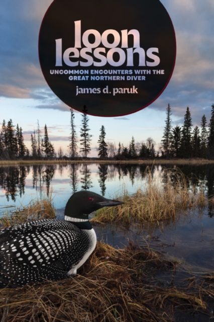 Loon Lessons