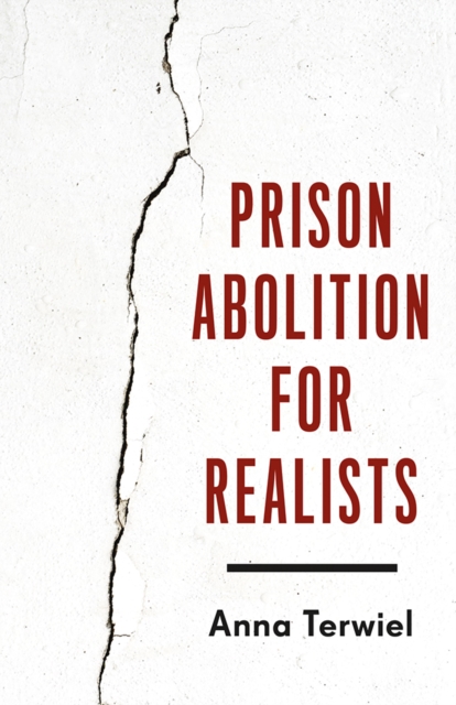 Prison Abolition for Realists