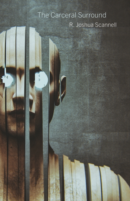 The Carceral Surround