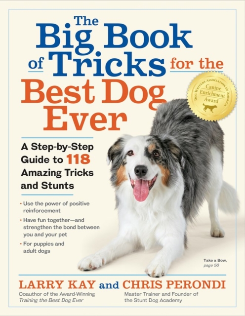 Big Book of Tricks for the Best Dog Ever