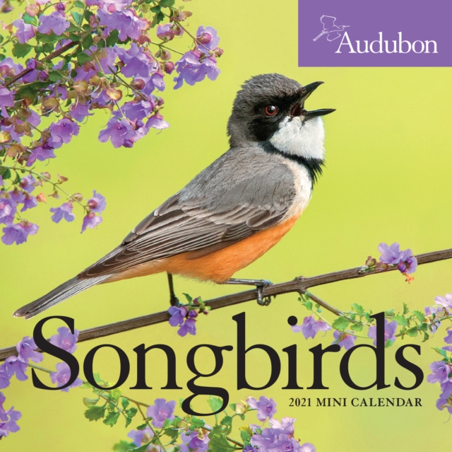 2021 Audubon Songbirds Mini Wall Calendar