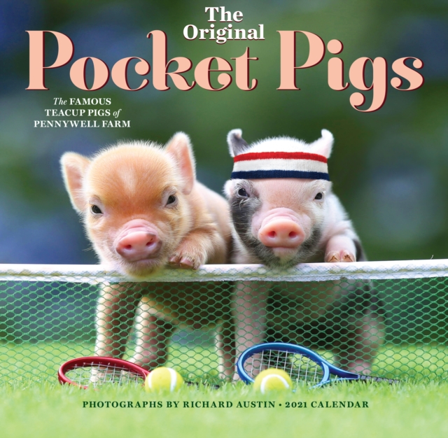 Original Pocket Pigs Wall Calendar 2021