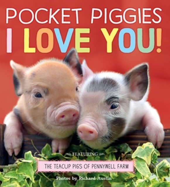 Pocket Piggies: I Love You!