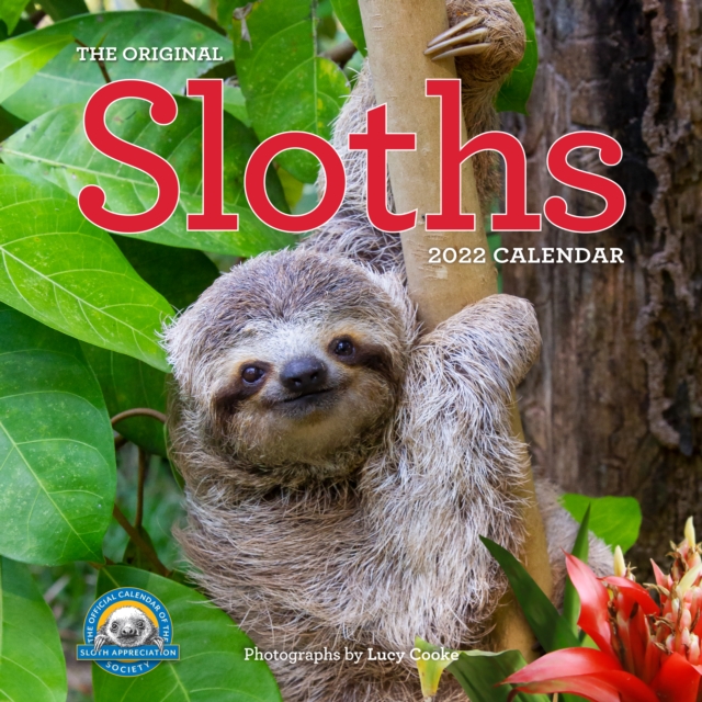 Original Sloths Wall Calendar 2022
