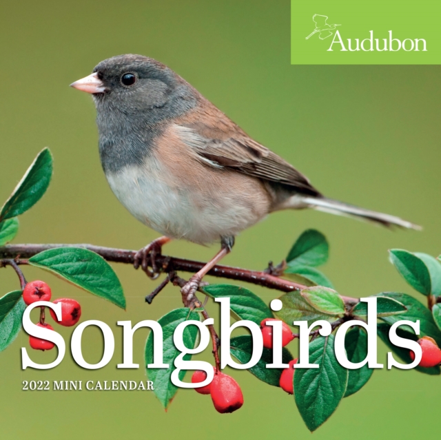 2022 Audubon Songbirds Mini
