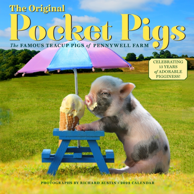 Original Pocket Pigs Wall Calendar 2022