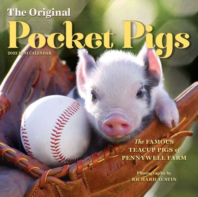 2022 the Original Pocket Pigs Mini