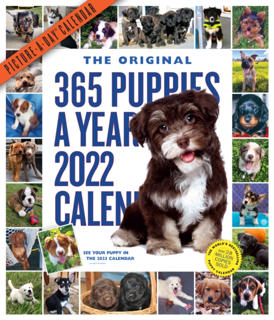 365 Puppies-A-Year Picture-A-Day Wall Calendar 2022