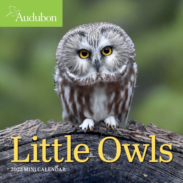 2022 Audubon Little Owls Mini