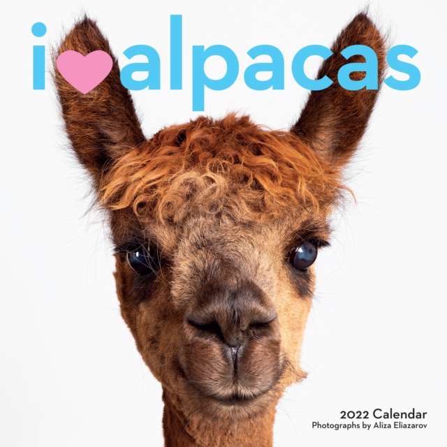 2022 I (Love) Alpacas Wall Calendar