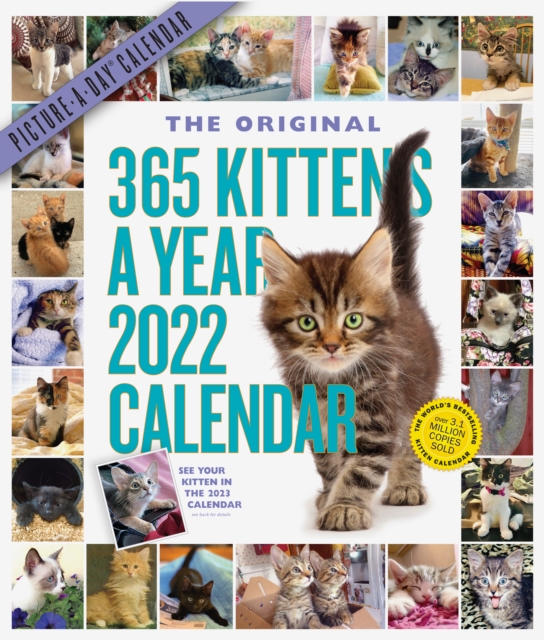 365 Kittens-A-Year Picture-A-Day Wall Calendar 2022