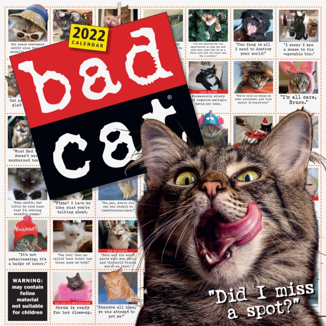 Bad Cat Wall Calendar 2022