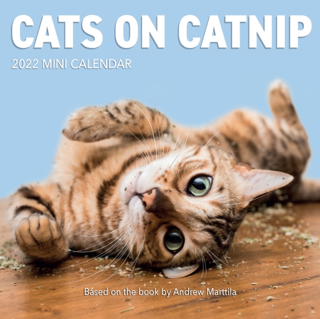Cats on Catnip Mini Wall Calendar 2022