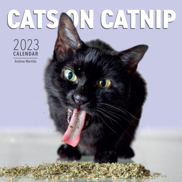 Cats on Catnip Wall Calendar 2023