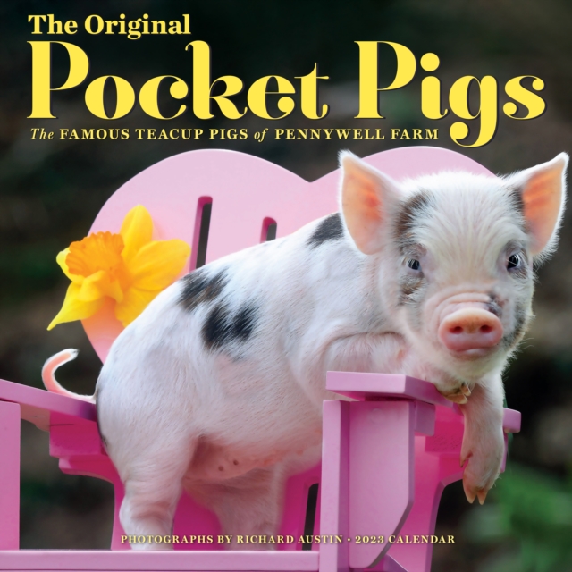Pocket Pigs Wall Calendar 2023