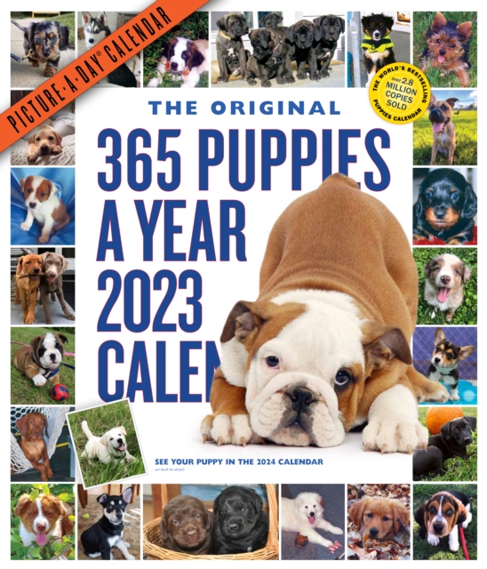365 Puppies-A-Year Picture-A-Day Wall Calendar 2023