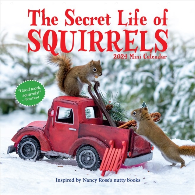 Secret Life of Squirrels Mini Calendar 2024 : Delightfully Nutty Squirrels