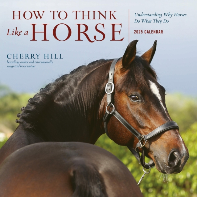 How to Think Like a Horse Wall Calendar 2025