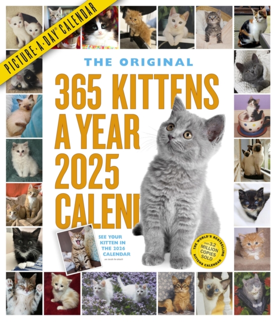 365 Kittens-A-Year Picture-A-Day® Wall Calendar 2025