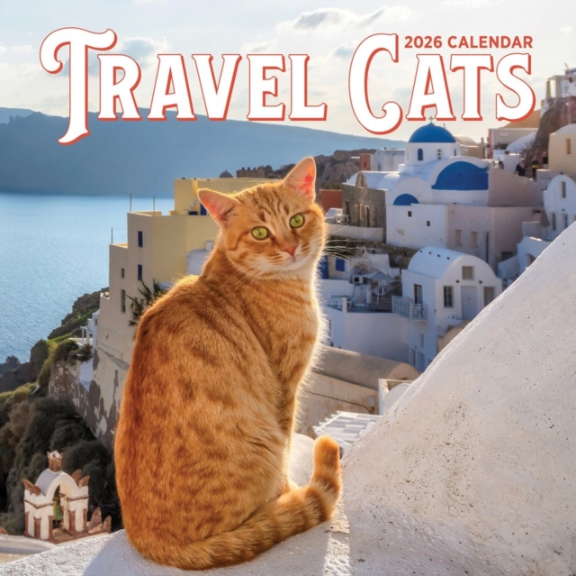 Travel Cats Wall Calendar 2026