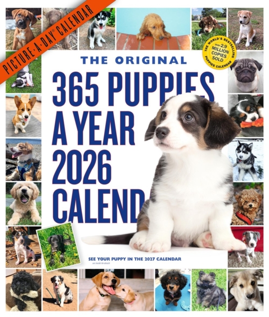 365 Puppies-A-Year Picture-A-Day® Wall Calendar 2026
