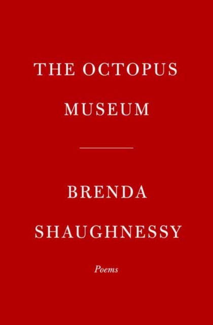 Octopus Museum