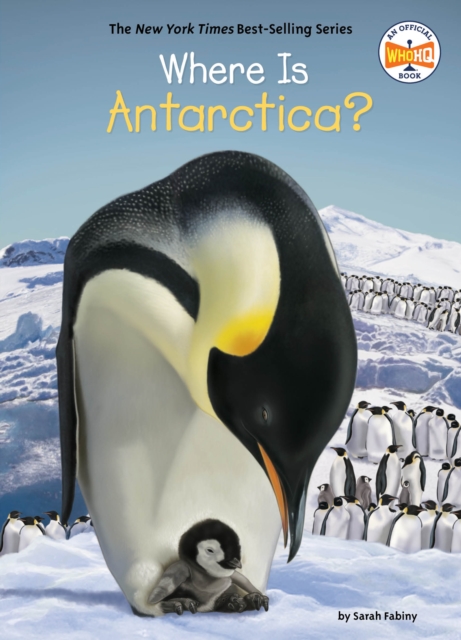 Where Is Antarctica?