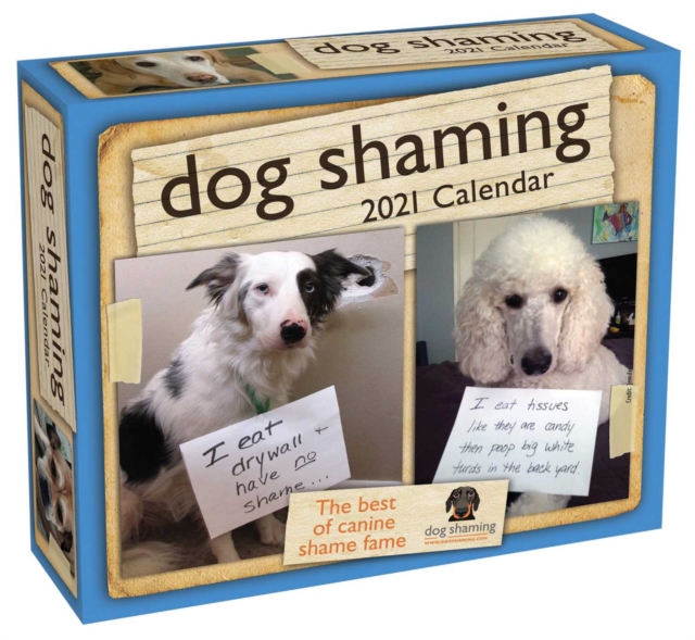 Dog Shaming 2021 Day-to-Day Calendar