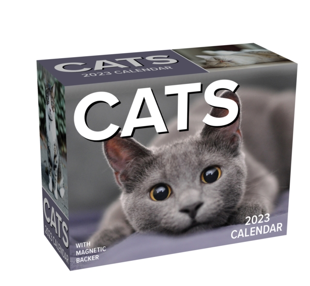 Cats 2023 Mini Day-to-Day Calendar