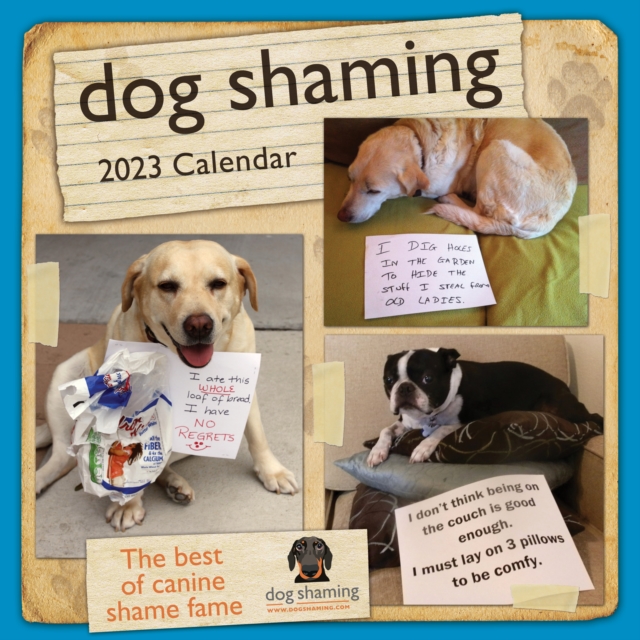 Dog Shaming 2023 Wall Calendar