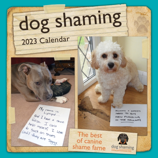 Dog Shaming 2023 Mini Wall Calendar