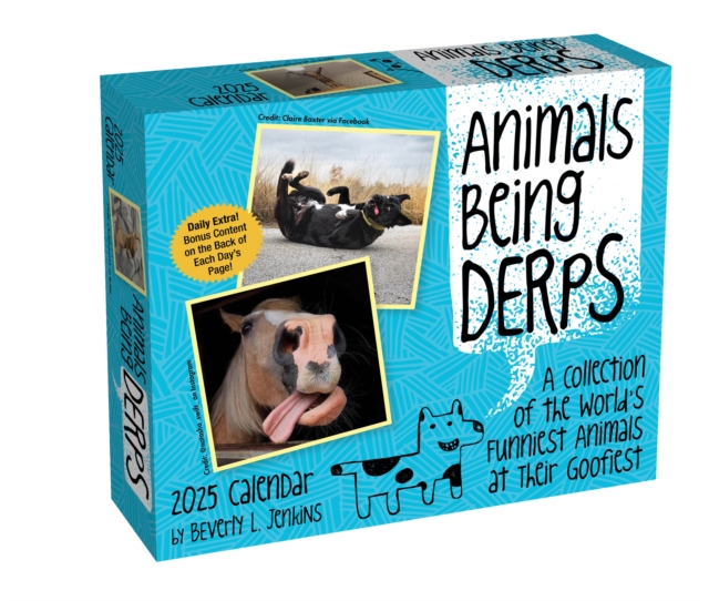 Animals Being Derps 2025 Day-to-Day Calendar