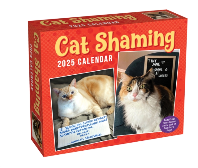 Cat Shaming 2025 Day-to-Day Calendar