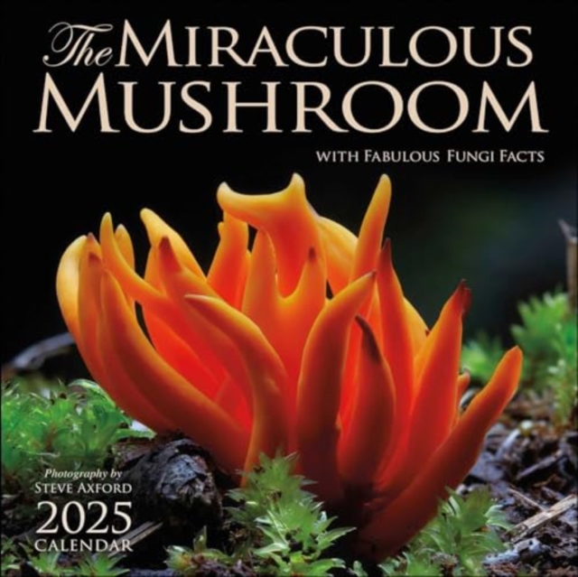Miraculous Mushroom 2025 Wall Calendar