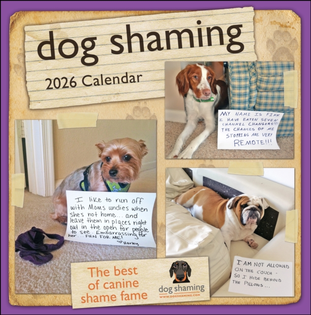 Dog Shaming 2026 Wall Calendar