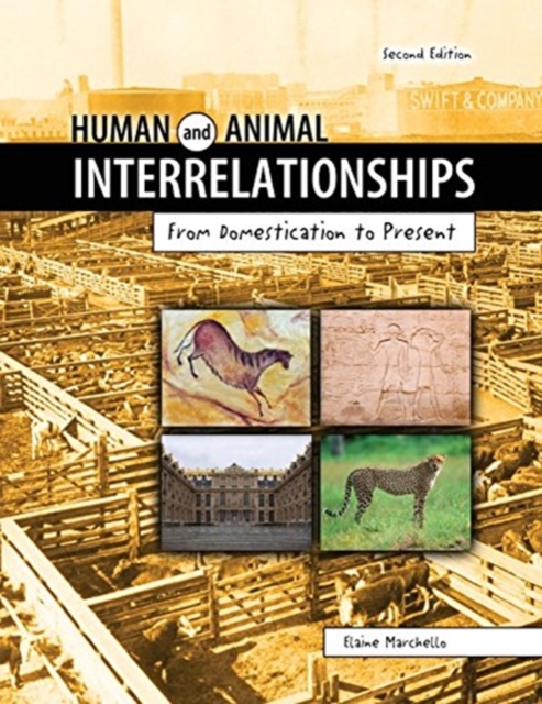 Human and Animal Interrelationships: From Domestication to Present