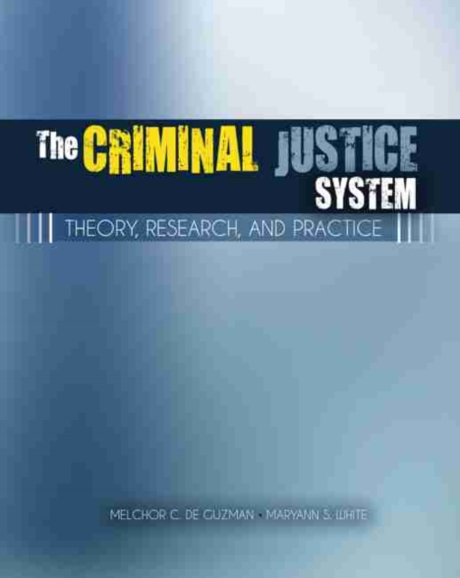 Criminal Justice System: Theory, Research, and Practice