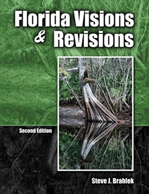 Florida Visions and Revisions